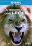 A Sociedade dos Leões